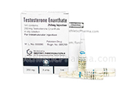 Testosterone Enanthate (Пакистан)